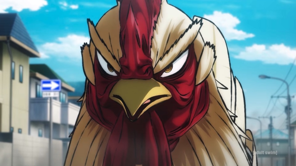 rooster-fighter-adult-swim.jpg rooster-fighter-adult-swim.jpg
