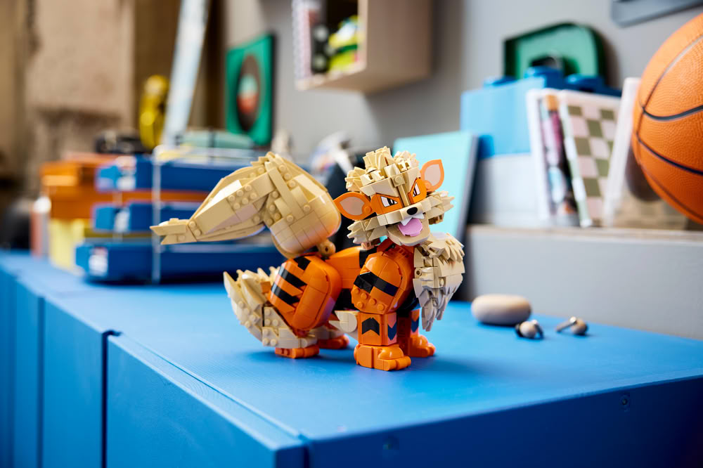 Arcanine Arcanine