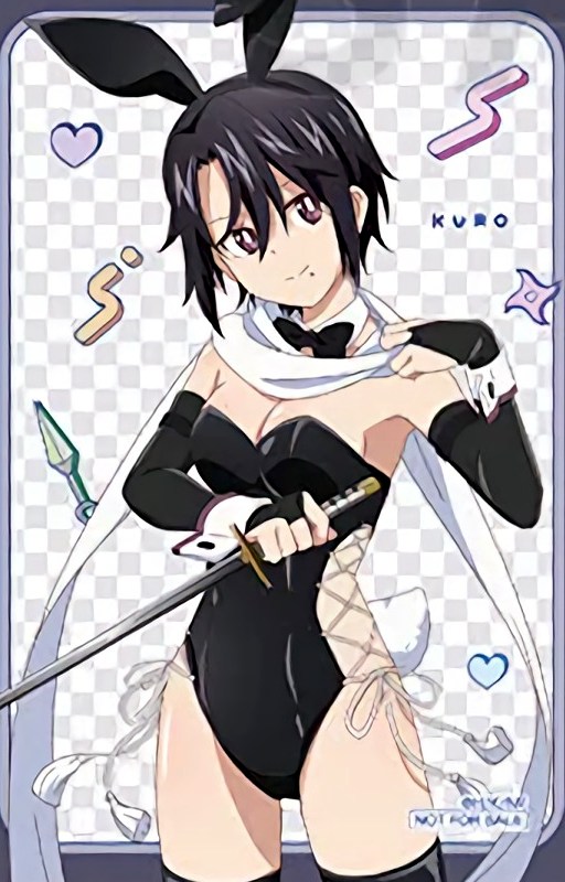 Kuro (A Ninja and an Assassin Under One Roof) Kuro