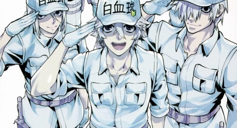 Lo spin-off di Cells at work - Lavori in corpo! Lo spin-off di Cells at work - Lavori in corpo!