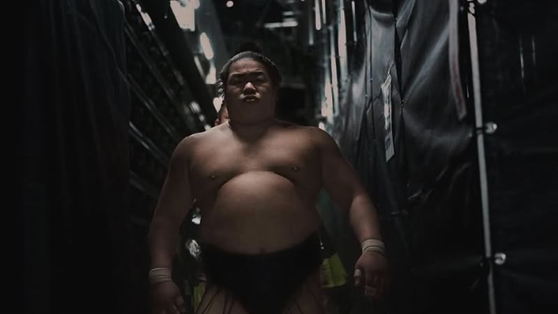 sumo weighs sumo weighs