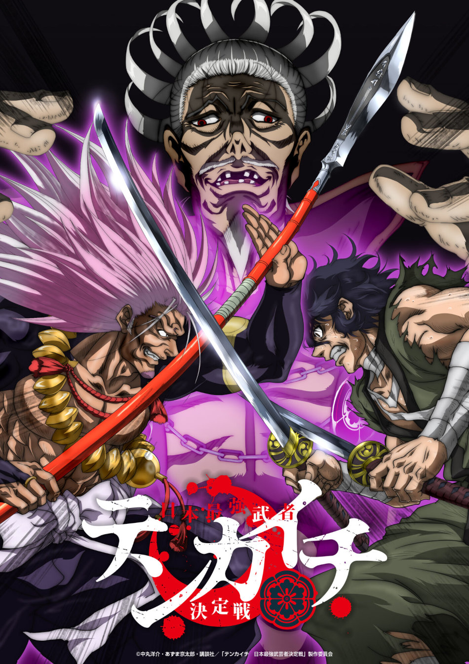 Tenkaichi anime visual Tenkaichi anime visual