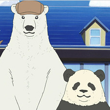 Shirokuma Café: a primavera si conclude l'anime su orsi e pinguini