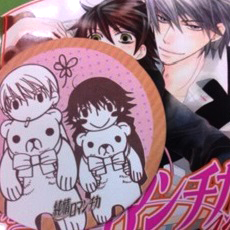 Junjou Romantica - annunciato un nuovo anime; Novità per Hybrid Child