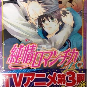 Junjou Romantica arriva la 3a serie anime TV; Hybrid Child a ottobre