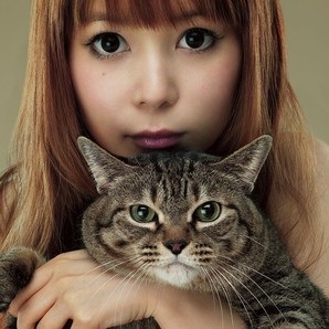 Omakase Mamitasu anime per la showgirl Shokotan e i suoi 10 gatti