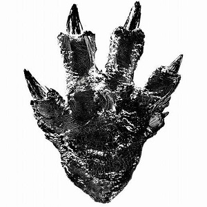 Godzilla 2016: prime indiscrezioni sul reboot giapponese