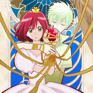 Akagami no Shirayuki hime annunciata una II serie anime per gennaio