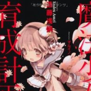 Mahou Shoujo Ikusei Keikaku: anime dalla novel delle maghette in lotta