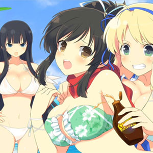 <b>Senran Kagura: Estival Versus</b> - Recensione