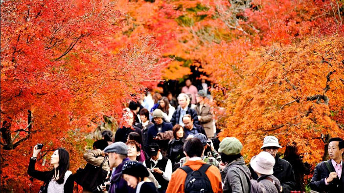 Top ten dei luoghi più suggestivi per ammirare l'autunno giapponese