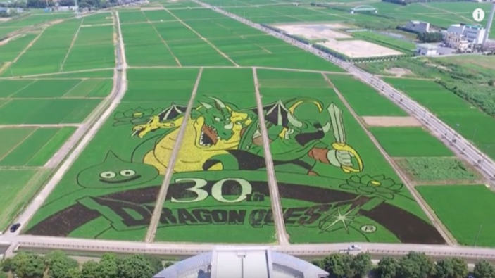 Enorme composizione su risaia per i 30 anni di Dragon Quest
