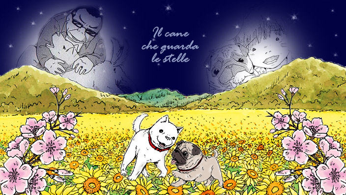 Il cane che guarda le stelle 