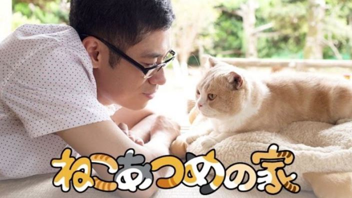 Trailer: KokoSake, Neko Atsume, sub eng per Stella Cadente e Teichi