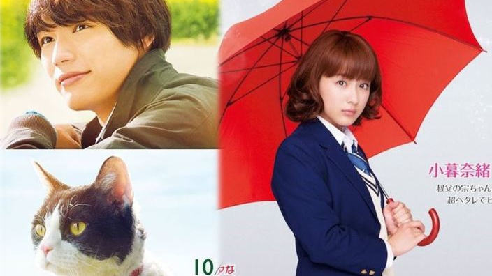 Next Stop Live Action: Honey, Hana Yori Dango Next, le cronache del gatto