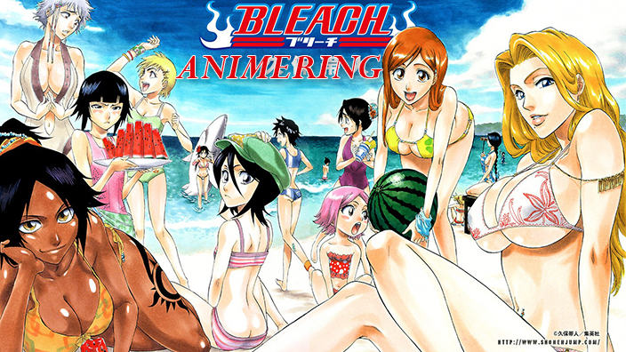 <b>AnimeRing</b>: Bleach, 74 volumi emozionanti o estenuanti?