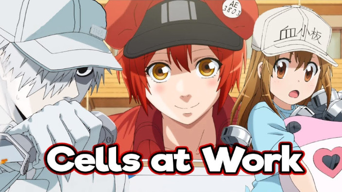 Cells at Work!: promosso a pieni voti pure da un dottore!