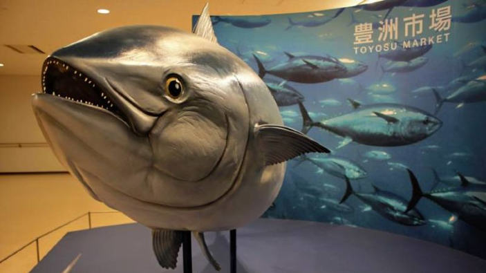 Chiude lo storico Tsukiji: il Toyosu Fish Market sarà il nuovo mercato del pesce di Tokyo
