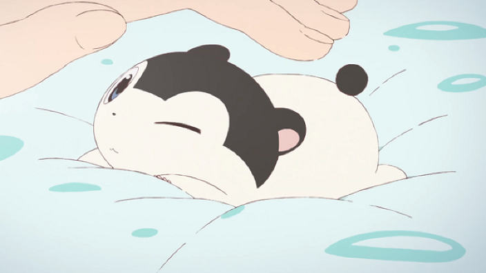 Kyoto Animation realizza un nuovo anime basato sulla mascotte Baja