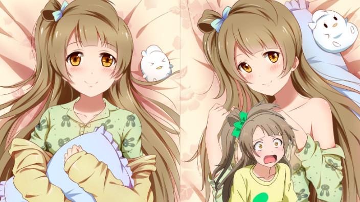 Uomo arrestato per vendita illegale di dakimakura 18+ di Love Live!