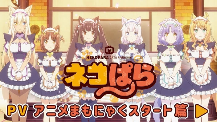 Nekopara, ACCA 13, Drifting Dragons: diffusi nuovi trailer