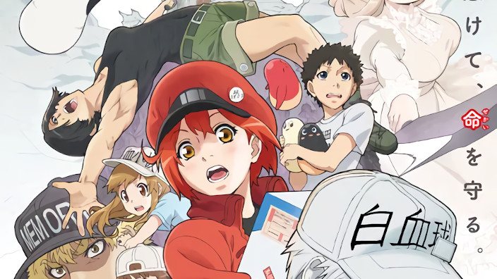 Cells at Work!: trailer per lo spin-off e per il sequel