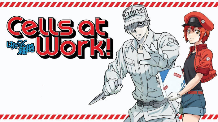 Cells at Work!: nuovo volume in Giappone dopo più di 3 anni