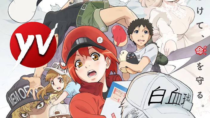 Yamato Video annuncia la 2° stagione di Cells at Work