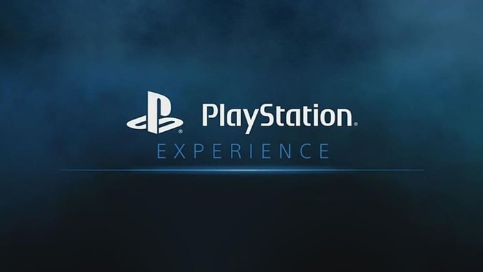 Gli sviluppatori indie si lamentano di Sony