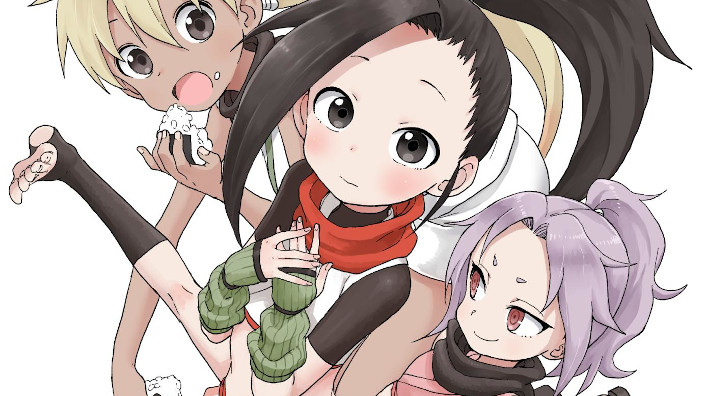 Kunoichi Tsubaki no Mune no Uchi: la kunoichi curiosa in anime