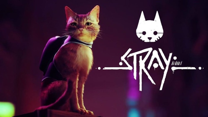 Annunciata la data di uscita di Stray