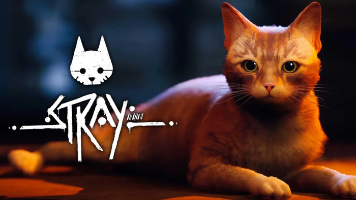 Stray in versione fisica Playstation 4 ha una nuova data