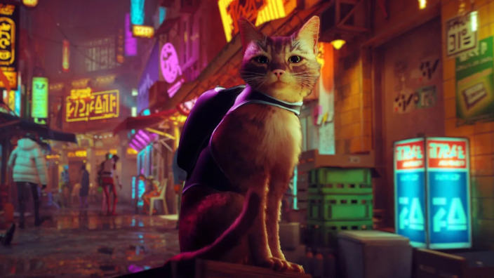Stray arriva su Xbox ad agosto