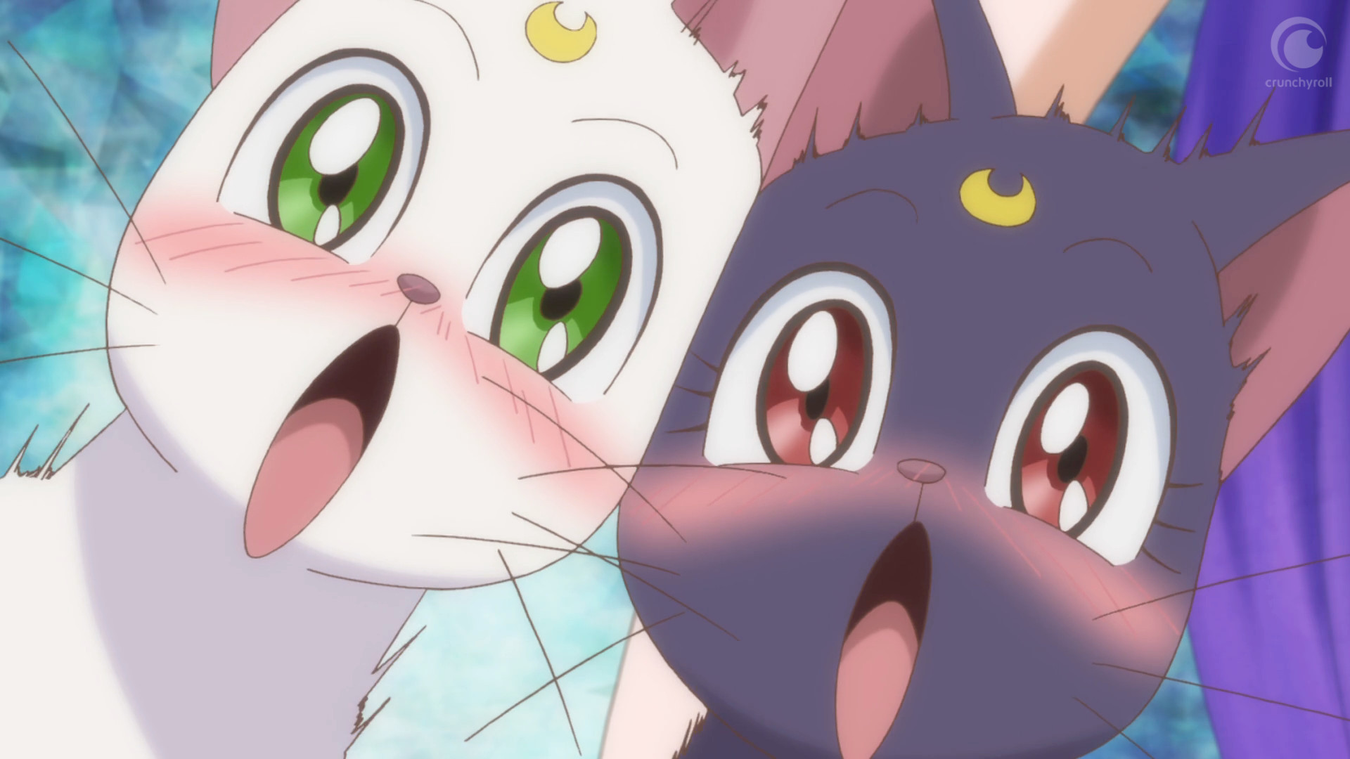 Giappone E Gatti I 25 Nomi Più In Voga Per Gli Amici Neko Animeclick