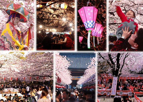 hanami mix hanami mix