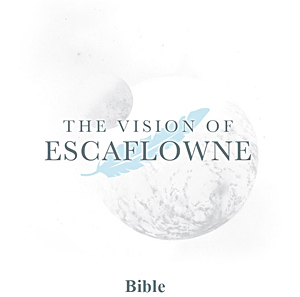 Escaflowne Bible Small