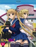 Nyan Koi