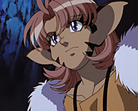 The Vision of Escaflowne - Uomini Bestia 8 The Vision of Escaflowne - Uomini Bestia 8