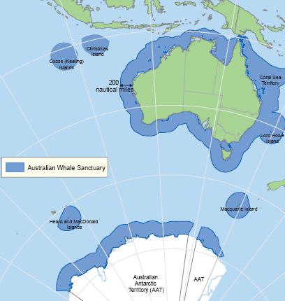 santuario dei cetacei australiano santuario dei cetacei australiano