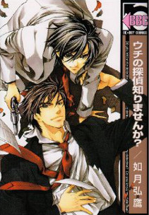 Il mio detective cover