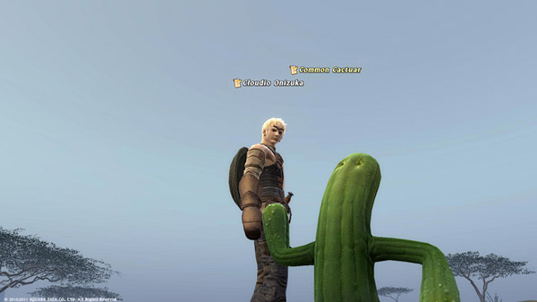 Final Fantasy XIV Online Review - Recensione - 24 Final Fantasy XIV Online Review - Recensione - 24