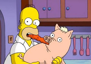 Homer Simpson & Spider-Pork Homer Simpson & Spider-Pork
