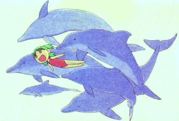 Yotsuba delfini
