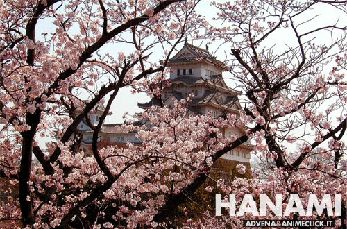 Viaggio in Giappone con Animeclick.it - Hanami 2012 Viaggio in Giappone con Animeclick.it - Hanami 2012