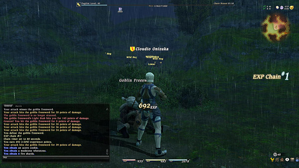 Final Fantasy XIV - Battle System 02 - EXP Chain System