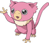 Beet - Toto Beet - Toto