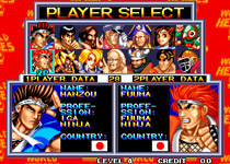 World Heroes 2 screen 1 World Heroes 2 screen 1