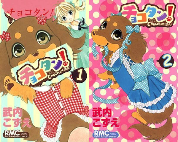 Chokotan! anime Chokotan! anime