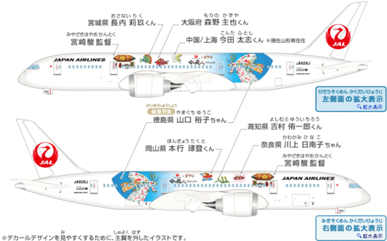 Aereo Miyazaki 3