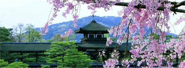 beutyjapan